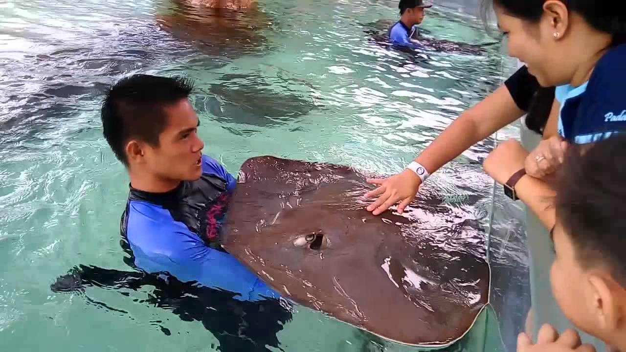 manila-ocean-park-family-getaway-near-manila-tourist-places-in-manila